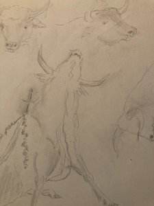 Dessin Crayon noir Vache art Corrida Tauromachie 1960 Animal Taureau Drawing Old