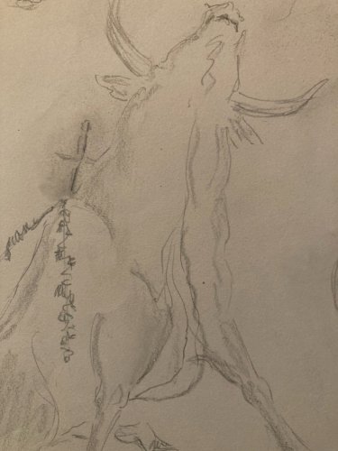 Dessin Crayon noir Vache art Corrida Tauromachie 1960 Animal Taureau Drawing Old