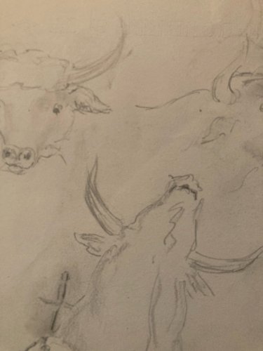 Dessin Crayon noir Vache art Corrida Tauromachie 1960 Animal Taureau Drawing Old