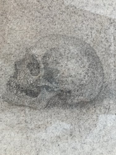 Dessin Crayon Papier Crâne Vanité Squelette Bouesse? Claude De Muzac