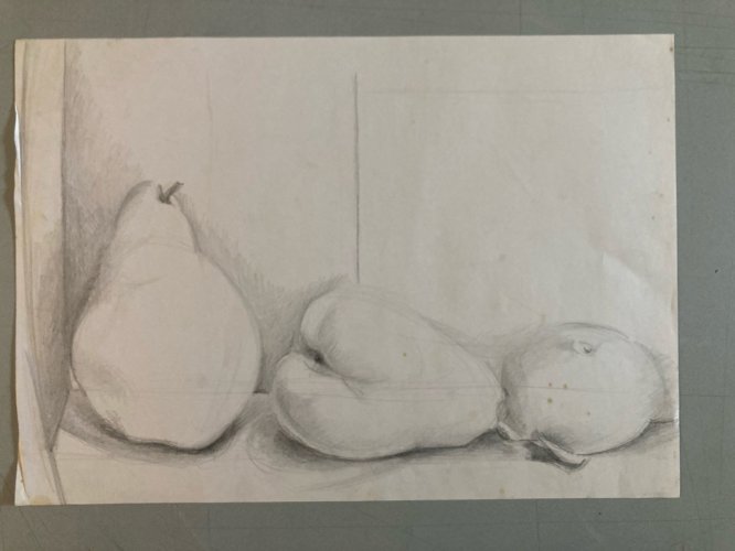 Dessin Crayon Papier Nature Morte Fruit Art Poire Mine De Plomb 1960 XXe