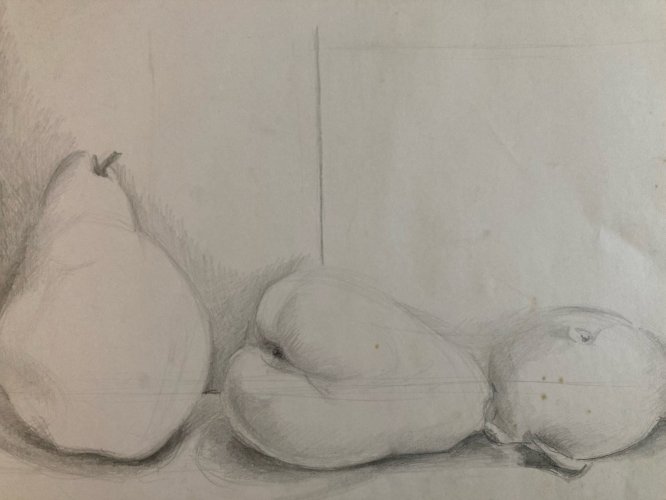 Dessin Crayon Papier Nature Morte Fruit Art Poire Mine De Plomb 1960 XXe