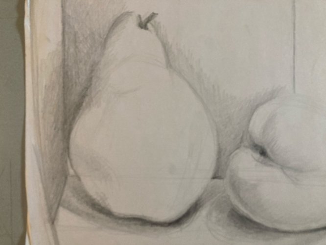 Dessin Crayon Papier Nature Morte Fruit Art Poire Mine De Plomb 1960 XXe
