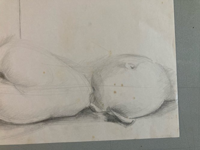 Dessin Crayon Papier Nature Morte Fruit Art Poire Mine De Plomb 1960 XXe
