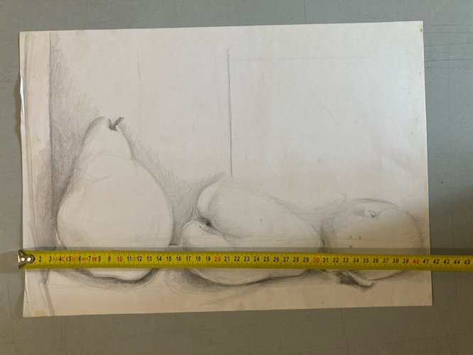 Dessin Crayon Papier Nature Morte Fruit Art Poire Mine De Plomb 1960 XXe