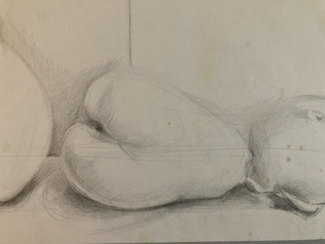Dessin Crayon Papier Nature Morte Fruit Art Poire Mine De Plomb 1960 XXe