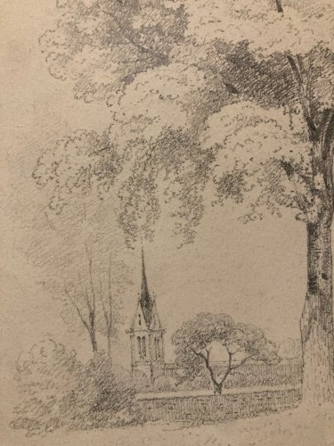 Dessin Crayon Papier XIXe Arbre Art A Identifier Ancien Branche Nature 1900