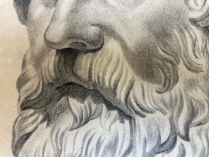 Dessin Crayon Portrait Barbe Homme À L Antique Rome Ancien Art 1825