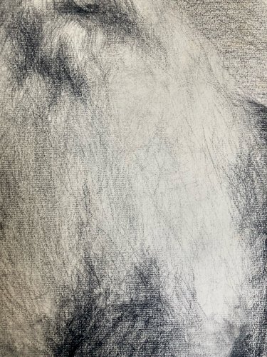 Dessin Crayon Portrait Barbe Homme Buste À Identifier Ancien Art 1850 XIXe