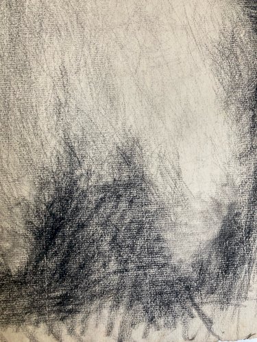 Dessin Crayon Portrait Barbe Homme Buste À Identifier Ancien Art 1850 XIXe