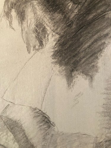 Dessin Crayon Portrait Barbe Homme Buste Évêque Cardinal Art XIXe Drawing 1880