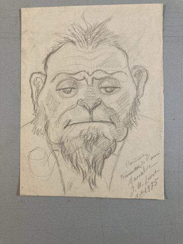Dessin Crayon Portrait Homme Singe À La Pipe Ancien 1970 Art Animal Peinture XXe