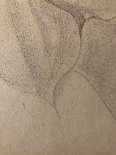 Dessin Crayon Portrait Profile Homme  À Identifier Ancien Art 1900 Buste