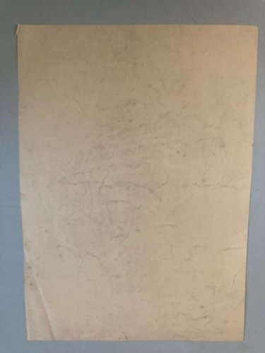 Dessin Crayon Portrait Tête Buste Femme XIXe A Identifier Art Ancien