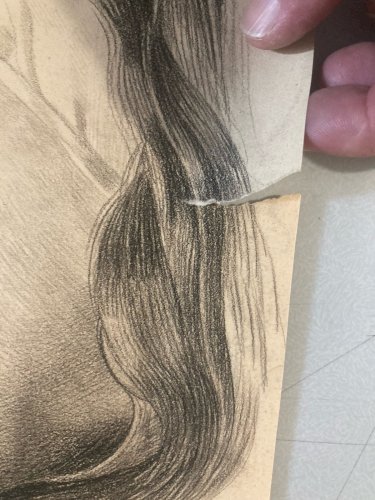 Dessin Crayon Portrait Tête Femme Buste XIXe A Identifier Art Ancien