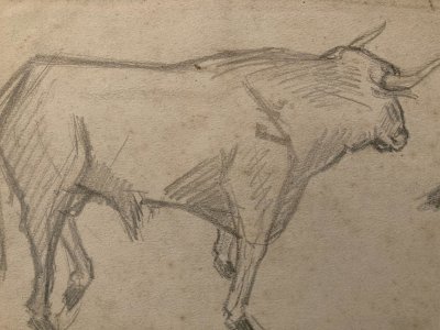 Dessin Crayon Vache art Corrida Tauromachie 1950 Animal Taureau Drawing Old XXe