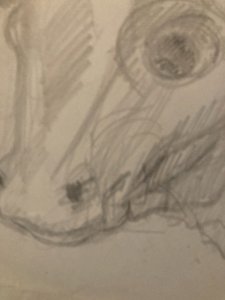 dot