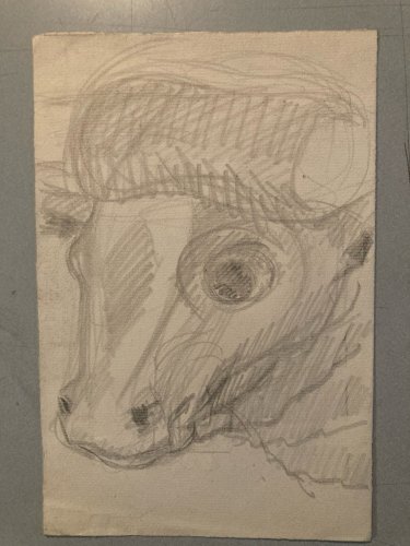 Dessin Crayon Vache art Corrida Tauromachie 1960 Animal Taureau Drawing Old XXe