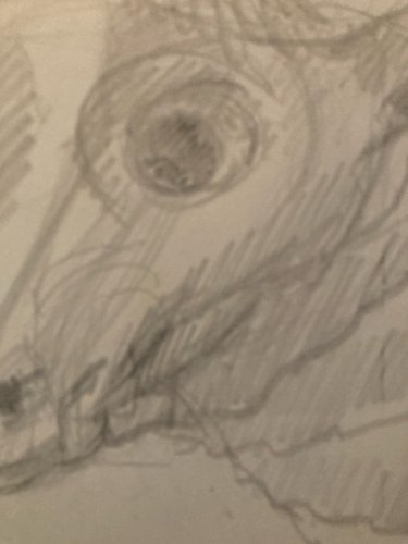 Dessin Crayon Vache art Corrida Tauromachie 1960 Animal Taureau Drawing Old XXe