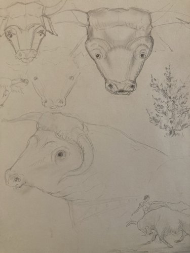 Dessin Crayon Vache art Corrida Tauromachie 1960 Animal Taureau Drawing Old XXe