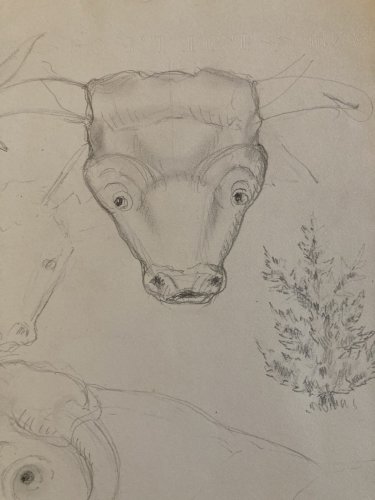 Dessin Crayon Vache art Corrida Tauromachie 1960 Animal Taureau Drawing Old XXe