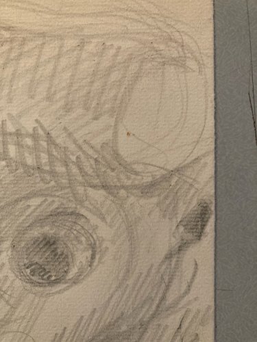 Dessin Crayon Vache art Corrida Tauromachie 1960 Animal Taureau Drawing Old XXe