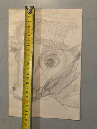 Dessin Crayon Vache art Corrida Tauromachie 1960 Animal Taureau Drawing Old XXe