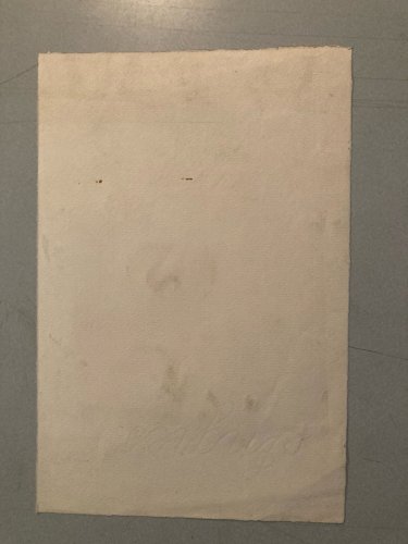 Dessin Crayon Vache art Corrida Tauromachie 1960 Animal Taureau Drawing Old XXe