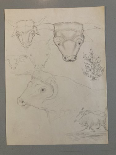 Dessin Crayon Vache art Corrida Tauromachie 1960 Animal Taureau Drawing Old XXe