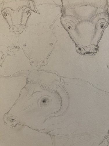 Dessin Crayon Vache art Corrida Tauromachie 1960 Animal Taureau Drawing Old XXe