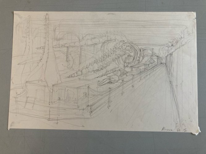 Dessin Dinosaure Musée D Histoire Naturelle Crayon 1970 A Identifier