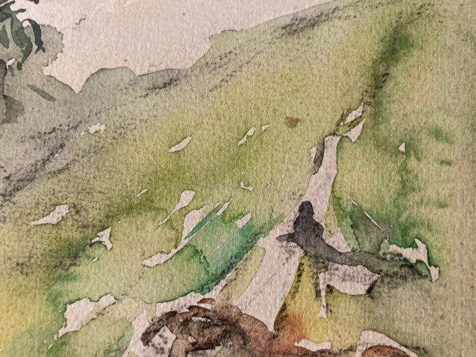 Dessin Dominic Avetrani Aquarelle Sur Papier Vache Taureau Route Forêt 1950