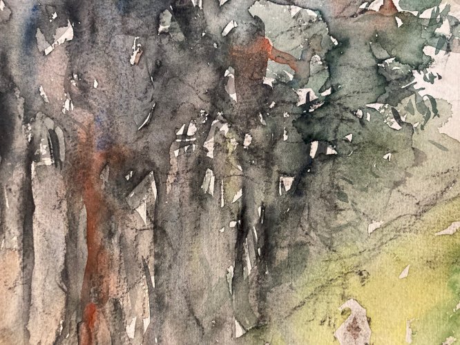 Dessin Dominic Avetrani Aquarelle Sur Papier Vache Taureau Route Forêt 1950
