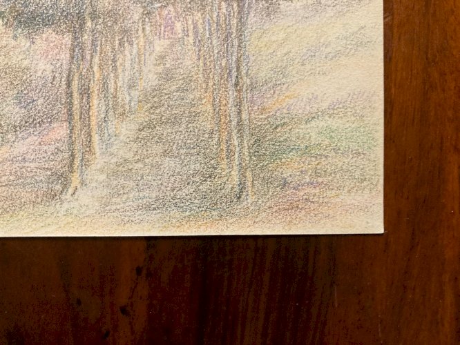 Dessin Drawing Portrait Femme XIXe 1850 Classique Paysage Original Art Old Arbre