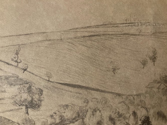 Dessin encre 1950 Louis Bénisti Algérie? À Localiser Art Peinture Champs