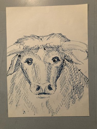 Dessin Encre Vache art Deco Corrida Tauromachie 1960 Animal Taureau Drawing Old