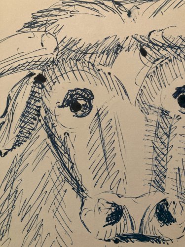 Dessin Encre Vache art Deco Corrida Tauromachie 1960 Animal Taureau Drawing Old