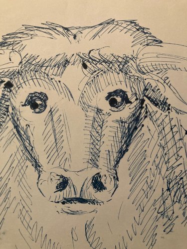 Dessin Encre Vache art Deco Corrida Tauromachie 1960 Animal Taureau Drawing Old