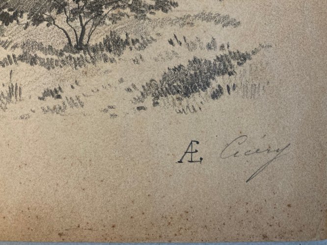 Dessin Eugene Ciceri XIXe mine De Plomb Arbre Barbizon Ruine Romantisme Art