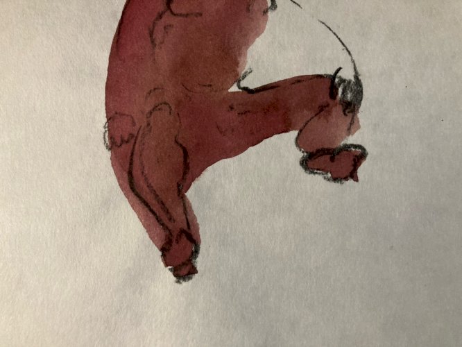 Dessin Expressionnisme Aquarelle Homme Nu Portrait Art Expressionniste XXe