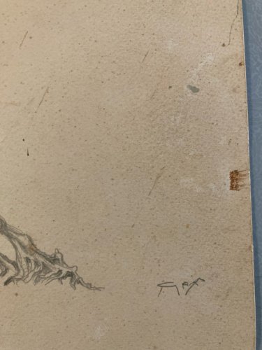 Dessin Expressionniste Crayon 1960 Expressionnisme Zoomorphe Branche