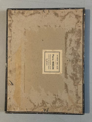 Dessin Femme Au Perroquet Coco Lavis Encre XIXe Romantisme Art Ancien 1850