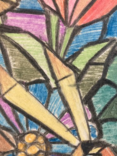 Dessin Fleur Ciseaux Crayon Couleur Plante Papier 1950 Ancien Art