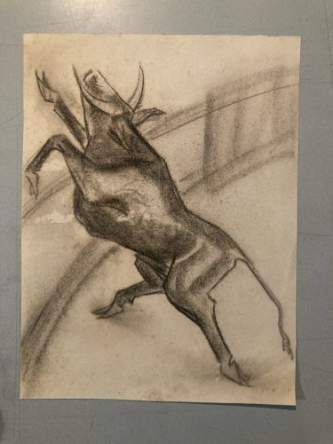 Dessin Fusain noir Vache art Corrida Tauromachie 1960 Animal Taureau Drawing Old