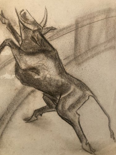 Dessin Fusain noir Vache art Corrida Tauromachie 1960 Animal Taureau Drawing Old