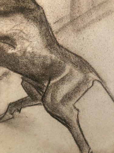 Dessin Fusain noir Vache art Corrida Tauromachie 1960 Animal Taureau Drawing Old