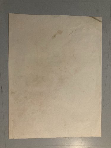 Dessin Fusain noir Vache art Corrida Tauromachie 1960 Animal Taureau Drawing Old