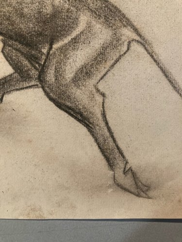 Dessin Fusain noir Vache art Corrida Tauromachie 1960 Animal Taureau Drawing Old