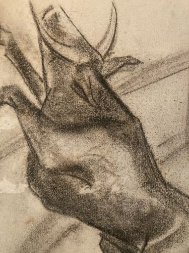 Dessin Fusain noir Vache art Corrida Tauromachie 1960 Animal Taureau Drawing Old