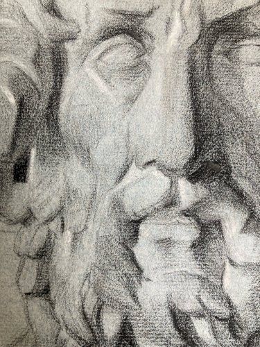 dessin fusain XIXe Barbe Ancien tete buste Homme Sculpté a identifier